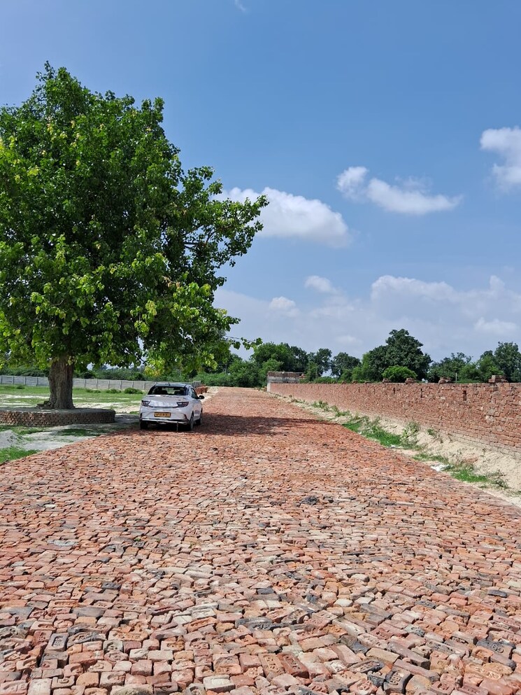 undefined, raebareli road  1500 Sq.Ft. Plot In Raebareli Road Lucknow 9003358