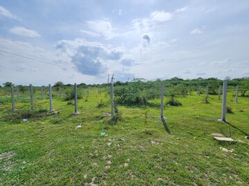 Plot Area in  Plot at Kothur – for Sale
