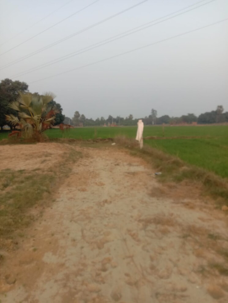 undefined, kanpur road  1500 Sq.Ft. Plot In Kanpur Road Lucknow 9003418