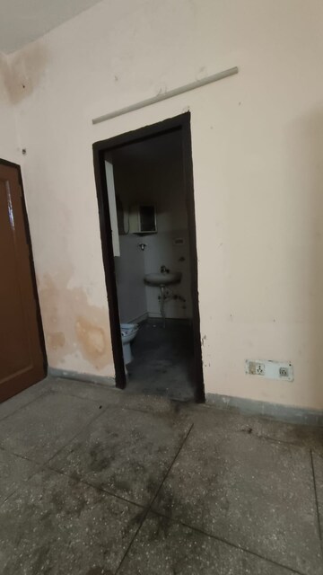 2 BHK Apartment For Rent in Gaur City 2 - 14th Avenue, Sector 16c Greater Noida