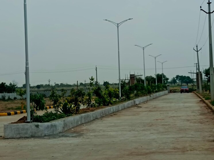 undefined, nature-city-shadnagar  165 Sq.Yd. Plot In Shadnagar Hyderabad 9003491