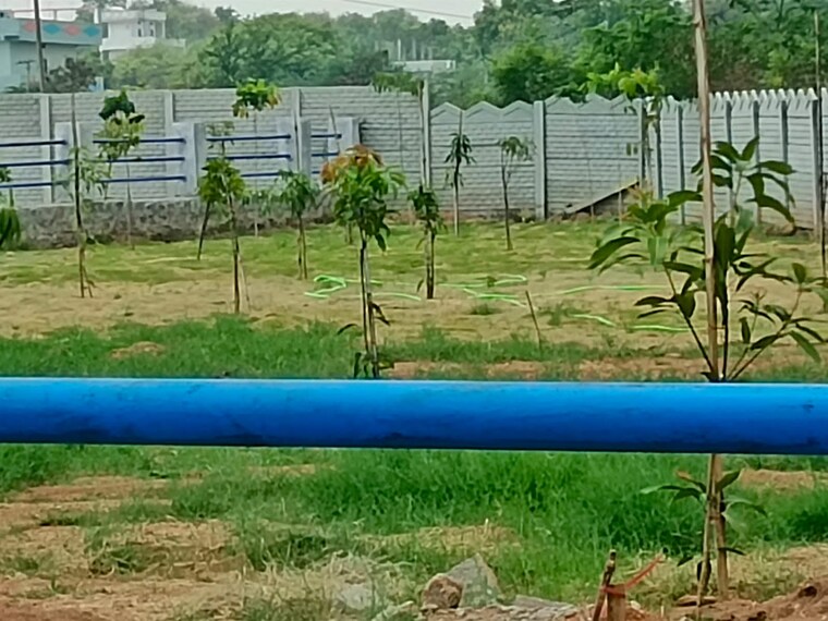 undefined, nature-city-shadnagar  165 Sq.Yd. Plot In Shadnagar Hyderabad 9003491