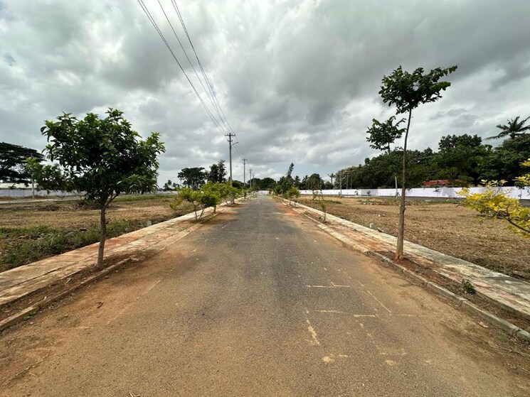 undefined, anekal  1200 Sq.Ft. Plot In Anekal Bangalore 9003465