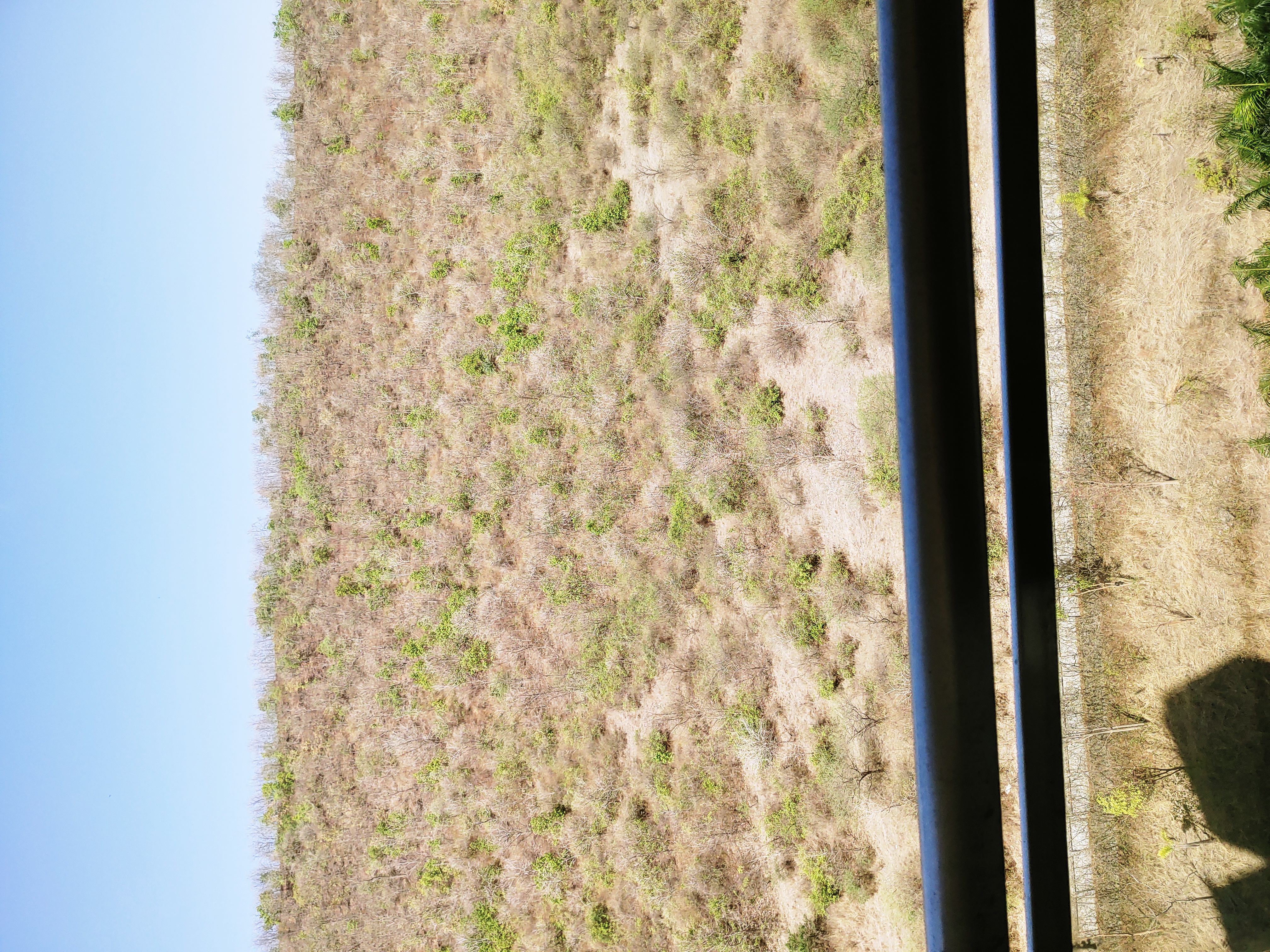 2 BHK + Servant Room Apartment For Rent in Puranik Aldea Anexo