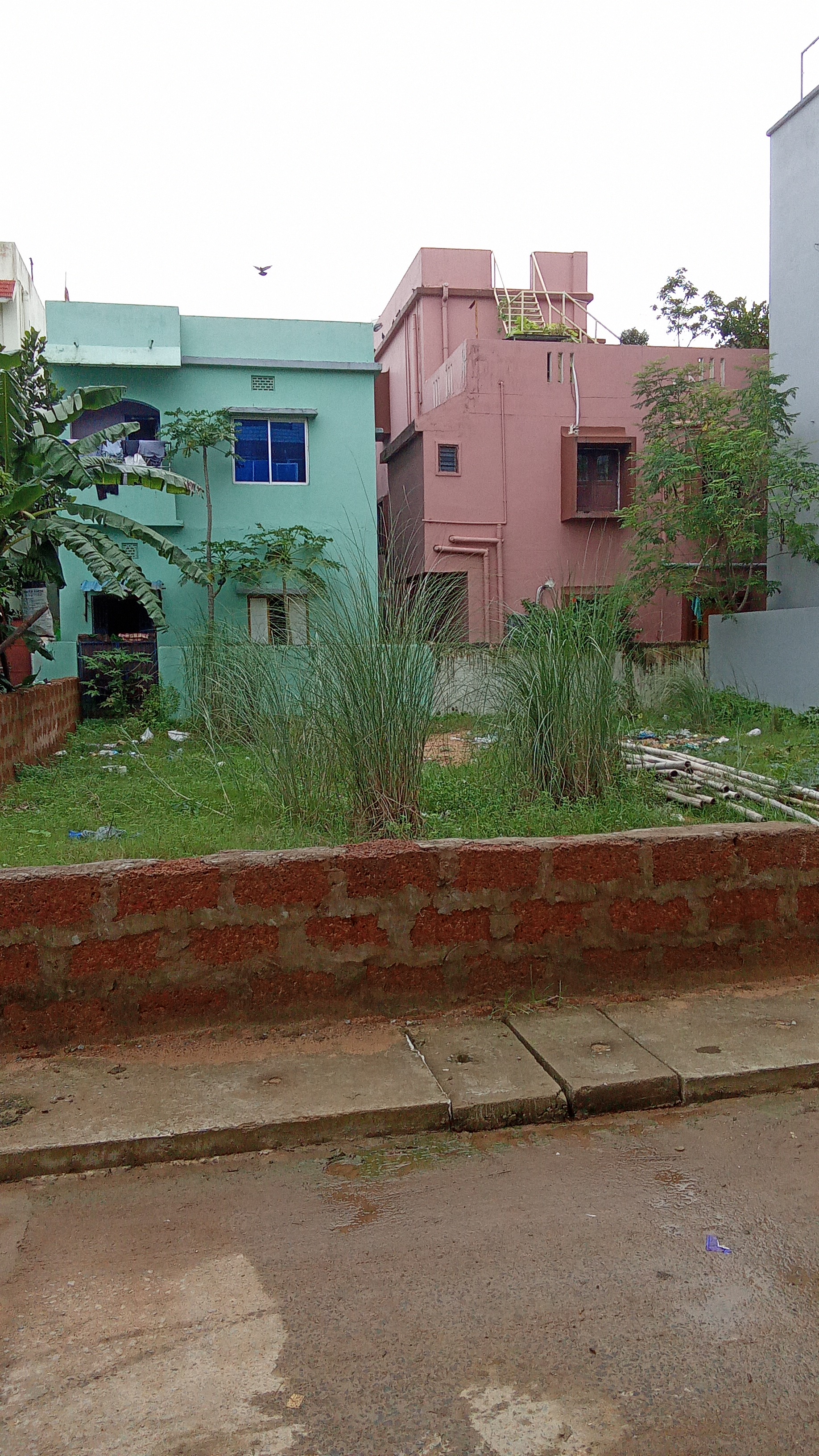 Plot For Sale in Gharabari Plot 