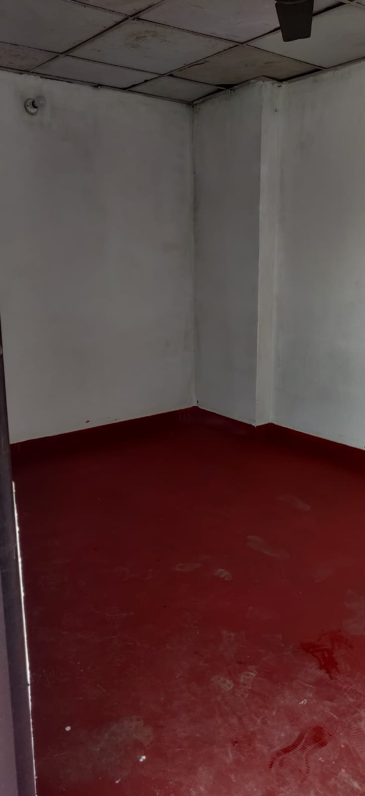 2 BHK Apartment For Rent in Gaur City 2 - 10th Avenue
