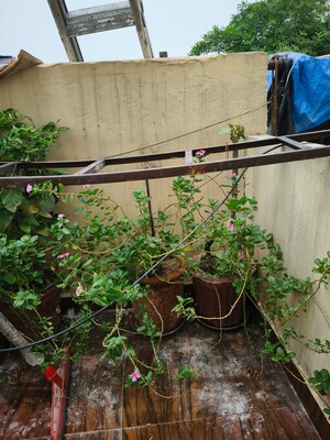  6+ BHK Independent House at Dayanand Colony – for Sale