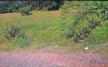 Plot For Sale in Kodibag