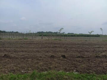 Plot Area in  Plot at Sonarpur – for Sale