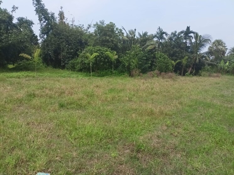 undefined, sonarpur  7200 Sq.Ft. Plot In Sonarpur Kolkata 9004024