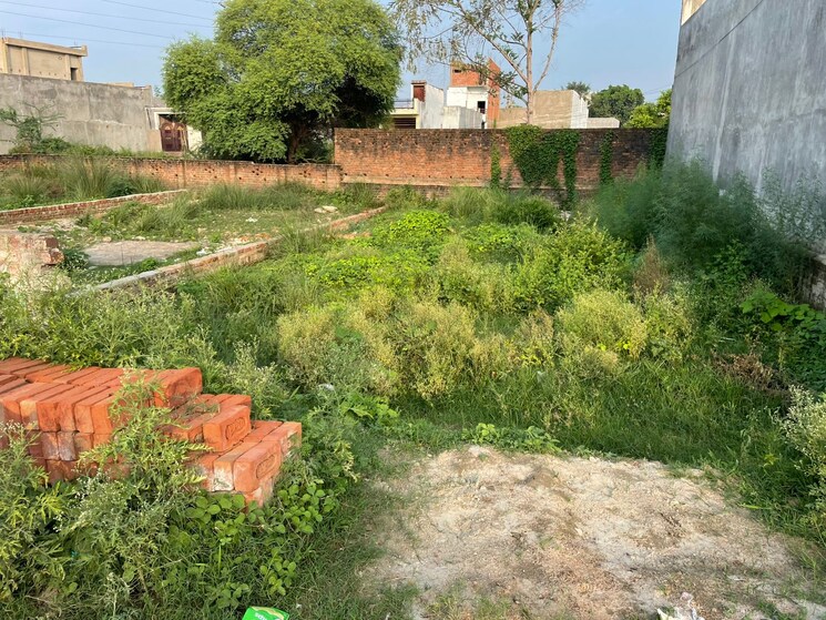 Garden, deva road  1500 Sq.Ft. Plot In Deva Road Lucknow 9004194