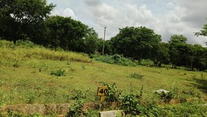  Plot For Sale in Rajanukunte