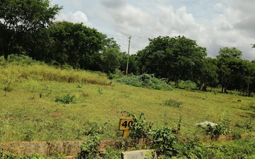 Plot For Sale in Rajanukunte
