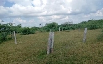 Land For Sale in Vakalapudi