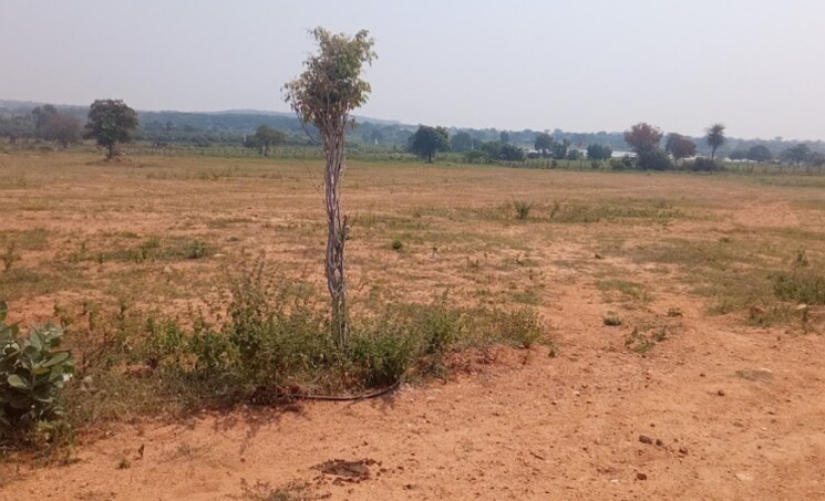 undefined, aduri-golden-heights  242 Sq.Yd. Plot In Shadnagar Hyderabad 9004566