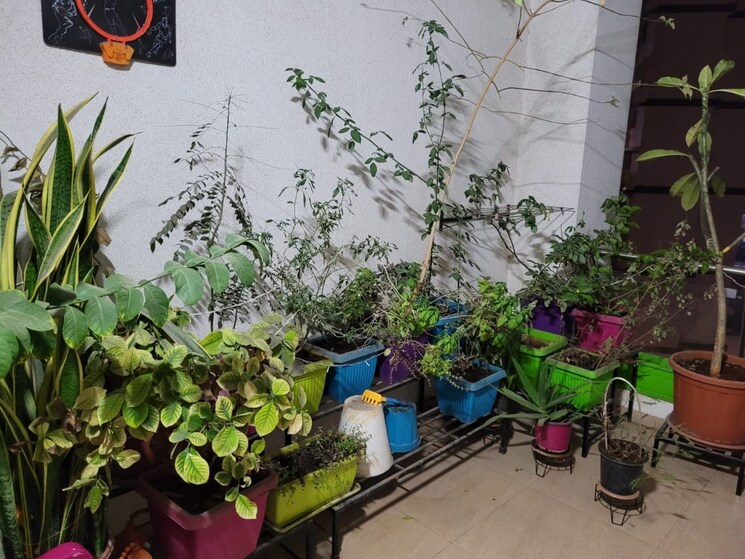 Other, gera-song-of-joy 2 Bedroom 1250 Sq.Ft. Apartment In Kharadi Pune 9004820