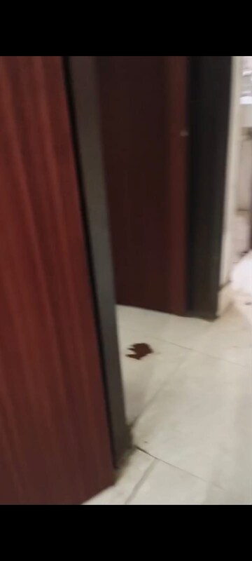 Bedroom in 1 BHK Builder Floor at Maan Sona Apartments, Shahberi – for Rent