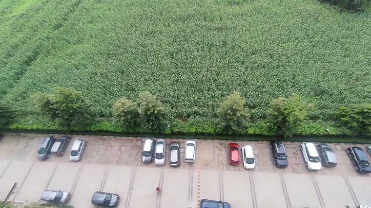 undefined, signature-global-synera 2 Bedroom 598 Sq.Ft. Apartment In Sector 81 Gurgaon 9004933