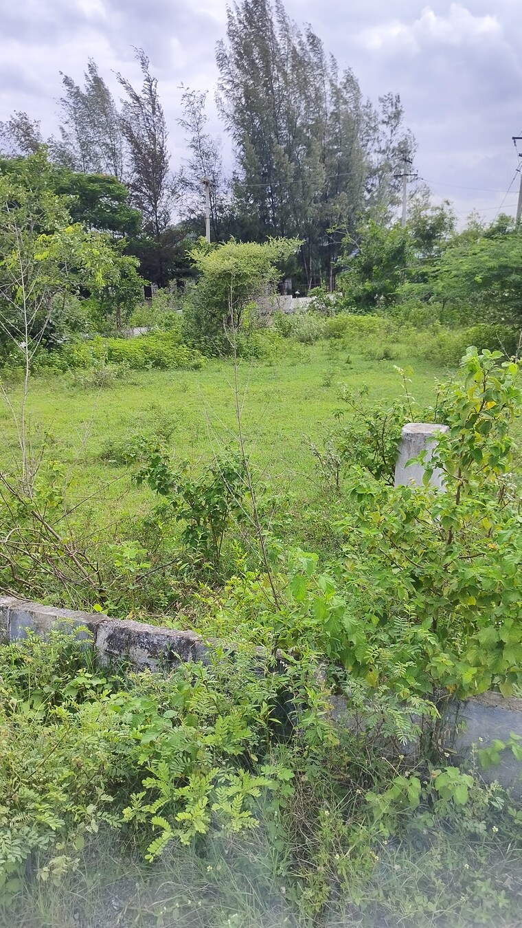 undefined, shamirpet  298 Sq.Yd. Plot In Shamirpet Hyderabad 9004990