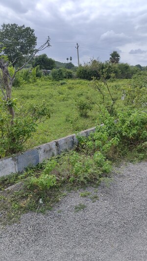 Plot Area in  Plot at Shamirpet – for Sale