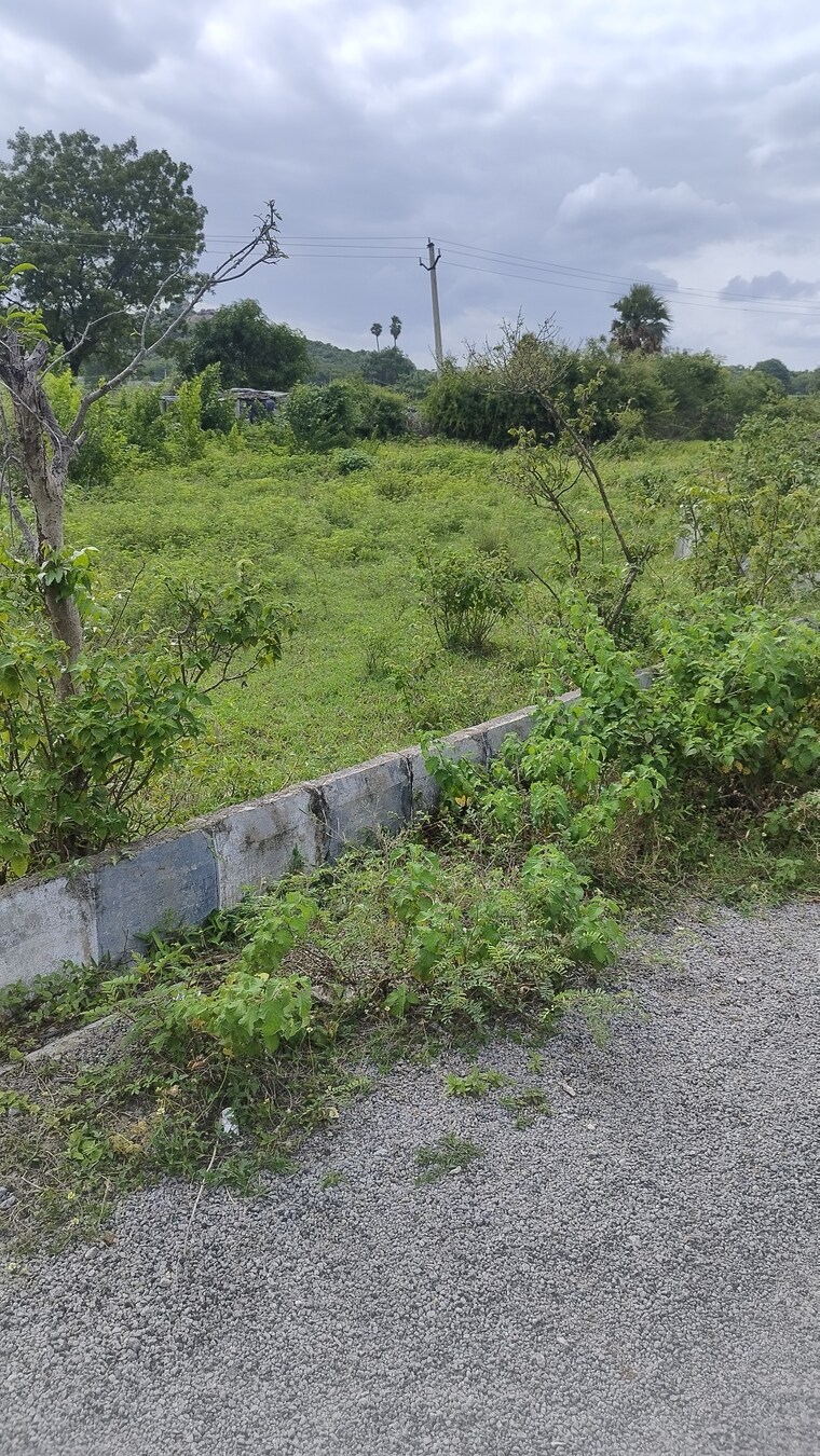 undefined, shamirpet  298 Sq.Yd. Plot In Shamirpet Hyderabad 9004990