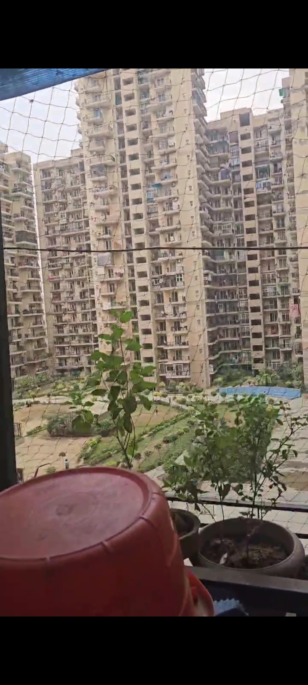 3 BHK Apartment For Sale in Amrapali Law Residencia 