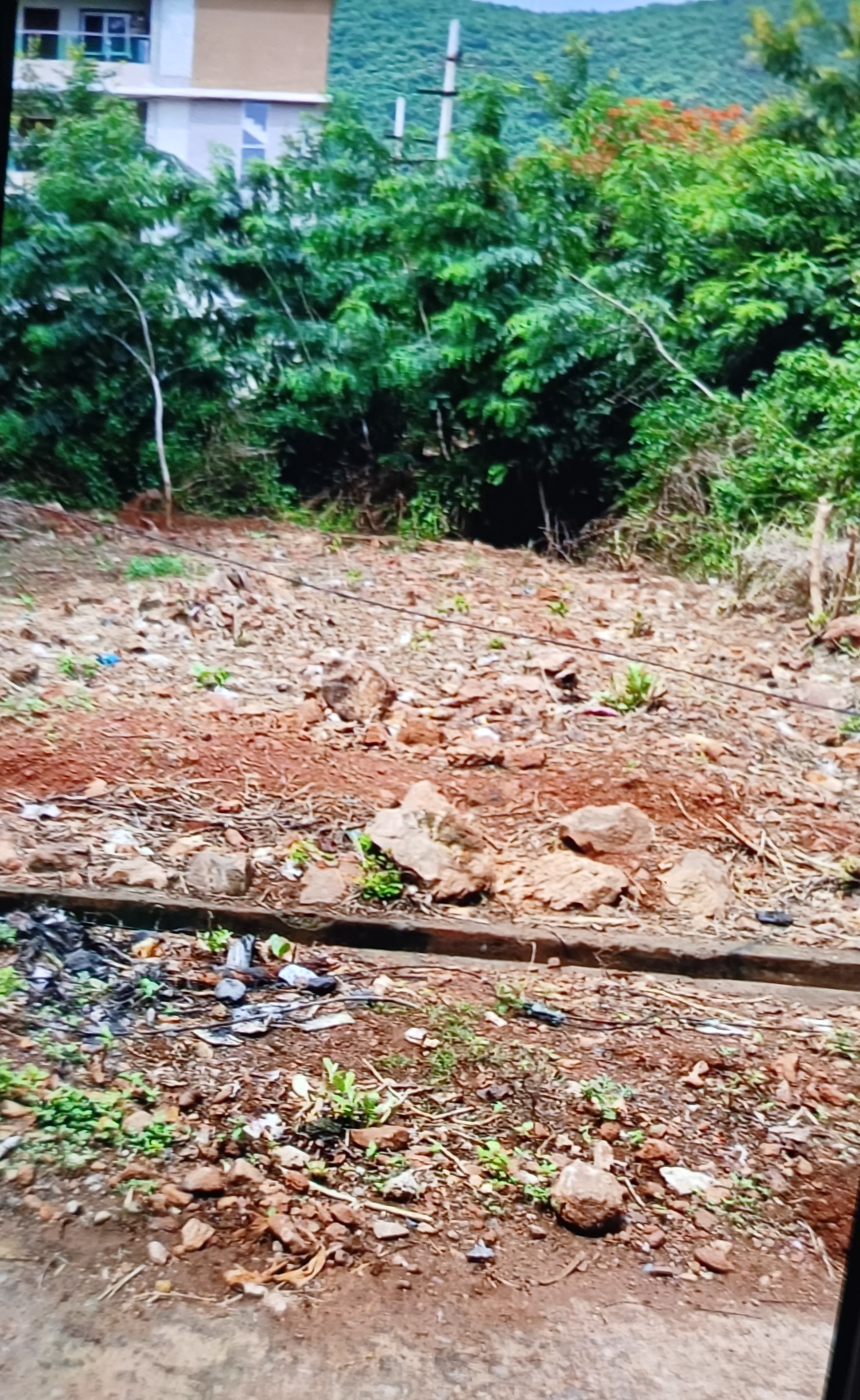 Plot For Sale in Pothinamallayya Palem