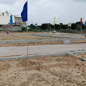 Plot Area in  Plot at Shree Krishna Vihar, Hasampura – for Sale