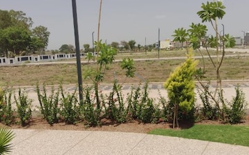Plot – Exterior View View at Ab Bypass Road - for Sale