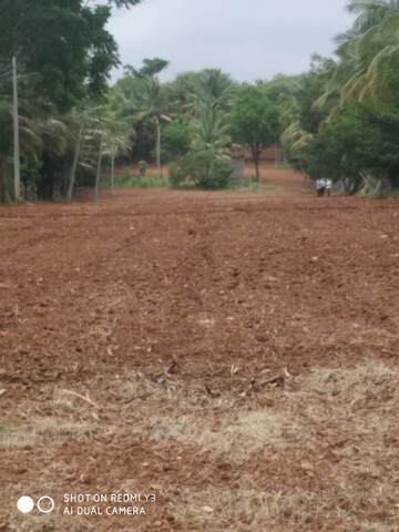 Plot Area in  Land at Gauribidanur – for Sale