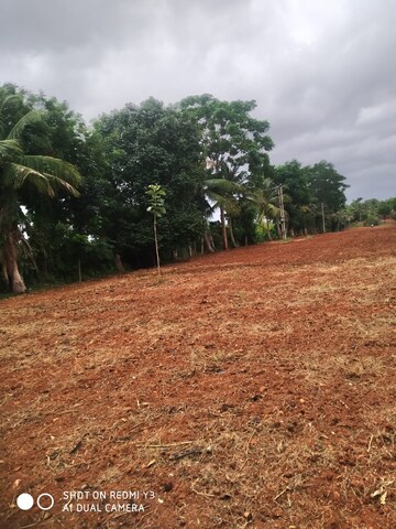 Plot Area in  Land at Gauribidanur – for Sale
