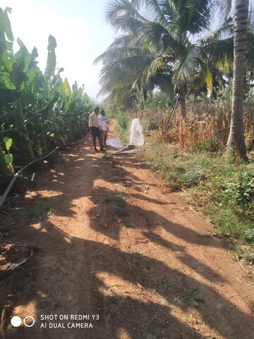 Plot Area in  Land at Gauribidanur – for Sale