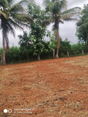 Plot Area in  Land at Gauribidanur – for Sale
