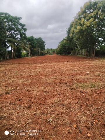 Plot Area in  Land at Gauribidanur – for Sale