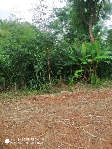 Plot Area in  Land at Gauribidanur – for Sale