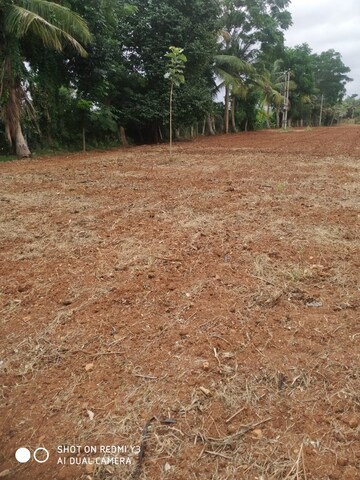 Plot Area in  Land at Gauribidanur – for Sale