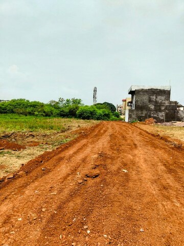 Plot Area in  Plot at Surya Vihar – for Sale