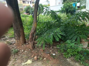  Plot For Sale in Jayanagar