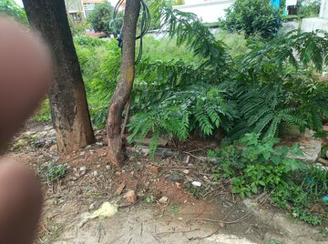 Plot Area in  Plot at Jayanagar – for Sale