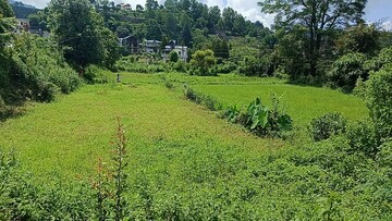  Land For Sale in Naukluchiatal