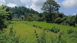 Plot Area in  Land at Naukluchiatal – for Sale