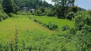 Plot Area in  Land at Naukluchiatal – for Sale