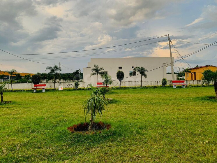 Garden, mendua 3 Bedroom 800 Sq.Ft. Independent House In Mendua Bhopal 9005568