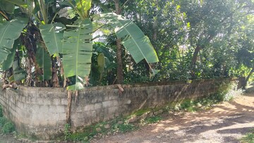  Plot For Sale in Mannanthala