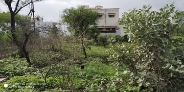  Plot For Sale in Mubarikpur
