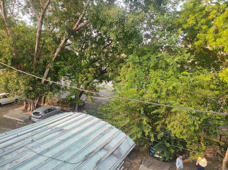 Garden, kotra sultanabad 2 Bedroom 700 Sq.Ft. Builder Floor In Kotra Sultanabad Bhopal 9005705