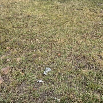 Plot Area in  Plot at Bundi Road – for Sale