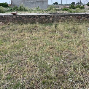 Plot Area in  Plot at Bundi Road – for Sale