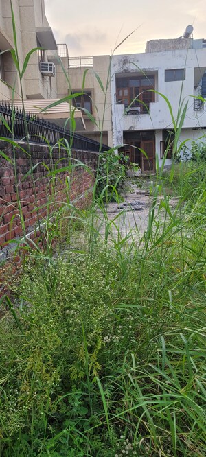  Plot – Exterior View View at Sector 40 - for Sale