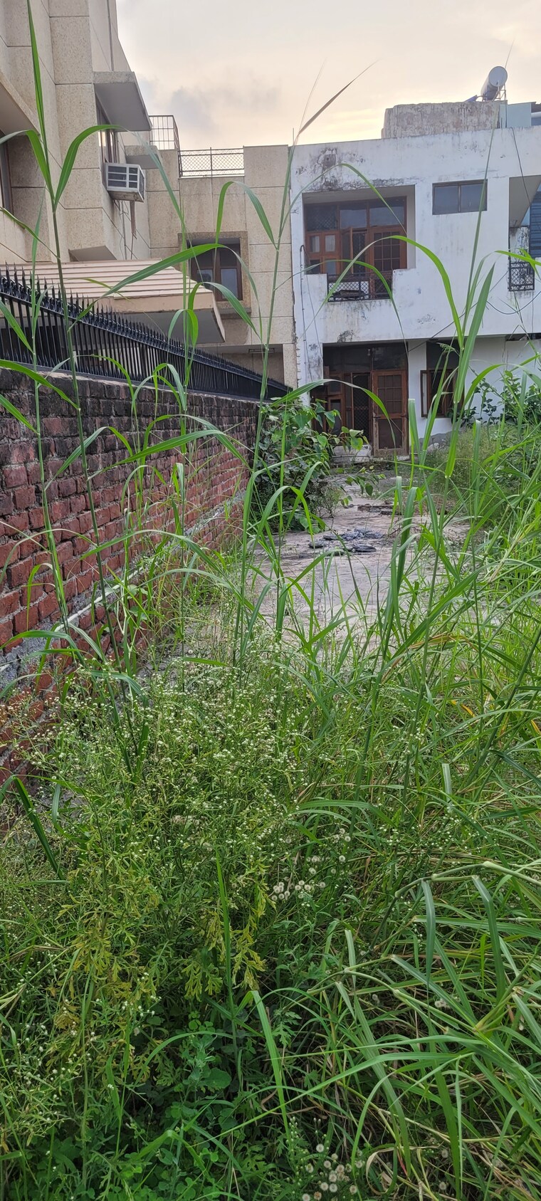 Exterior View, sector 40  432 Sq.Mt. Plot In Sector 40 Noida 9005778